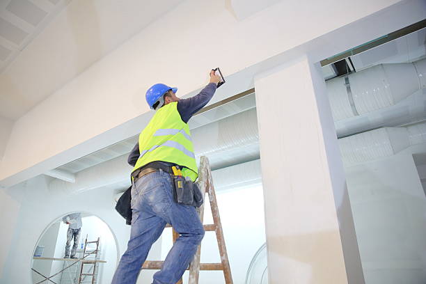 Best Mold Remediation for Healthcare Facilities  in Wolverine Lake, MI